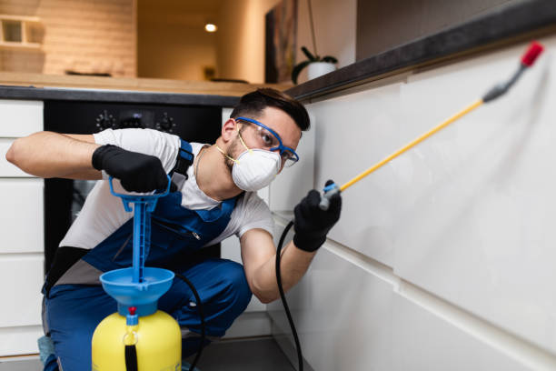 Best Pest Removal Services  in Wamac, IL
