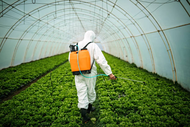 Best Best Pest Control Companies  in Wamac, IL