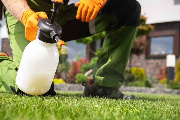Best Best Pest Control Companies  in Wamac, IL