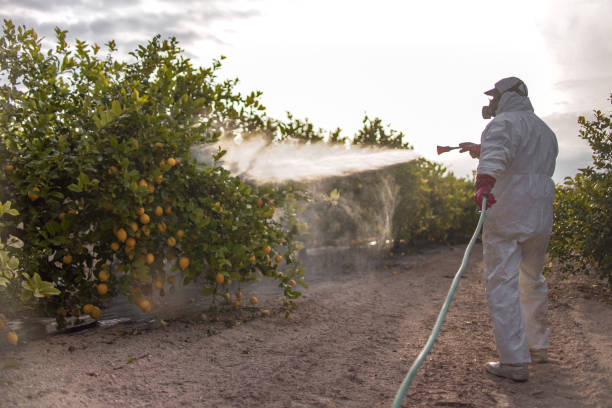 Best Commercial Pest Control Services  in Wamac, IL