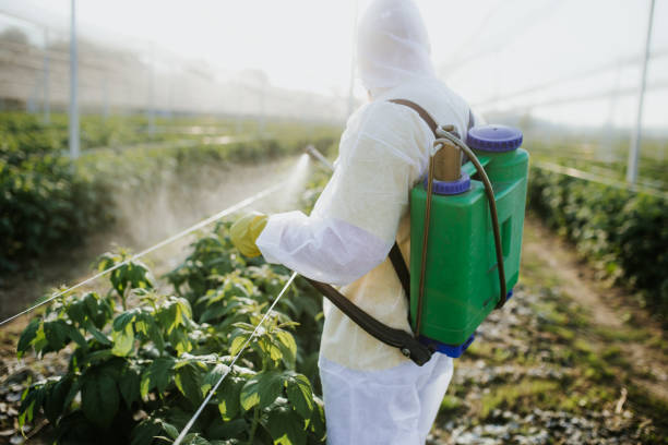 Best Affordable Pest Control Services  in Wamac, IL